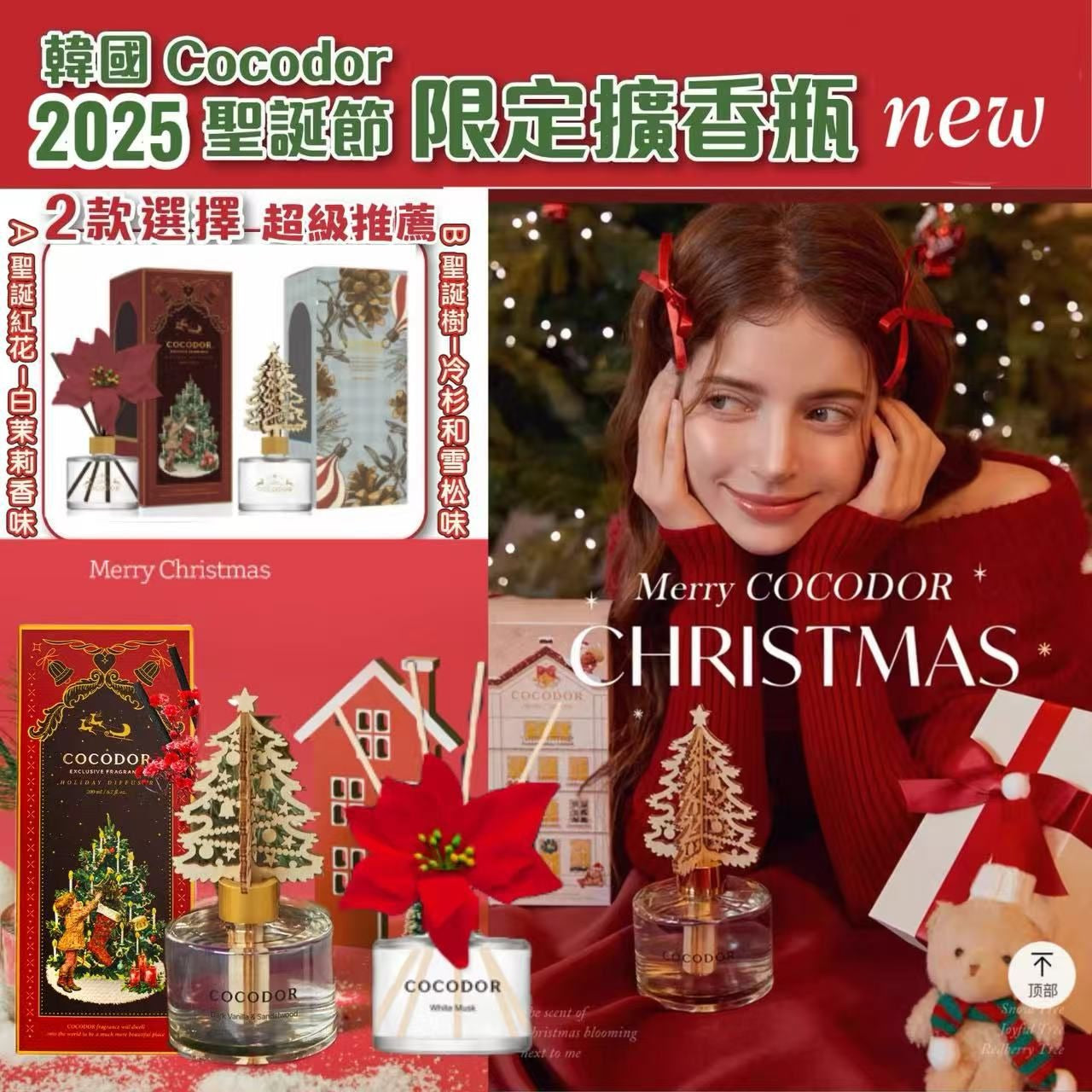 🎄 韓國 Cocod'or 聖誕限定|節日擴香瓶 💐