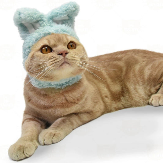 🐰🎀 兔子造型貓頭飾 🐱💕