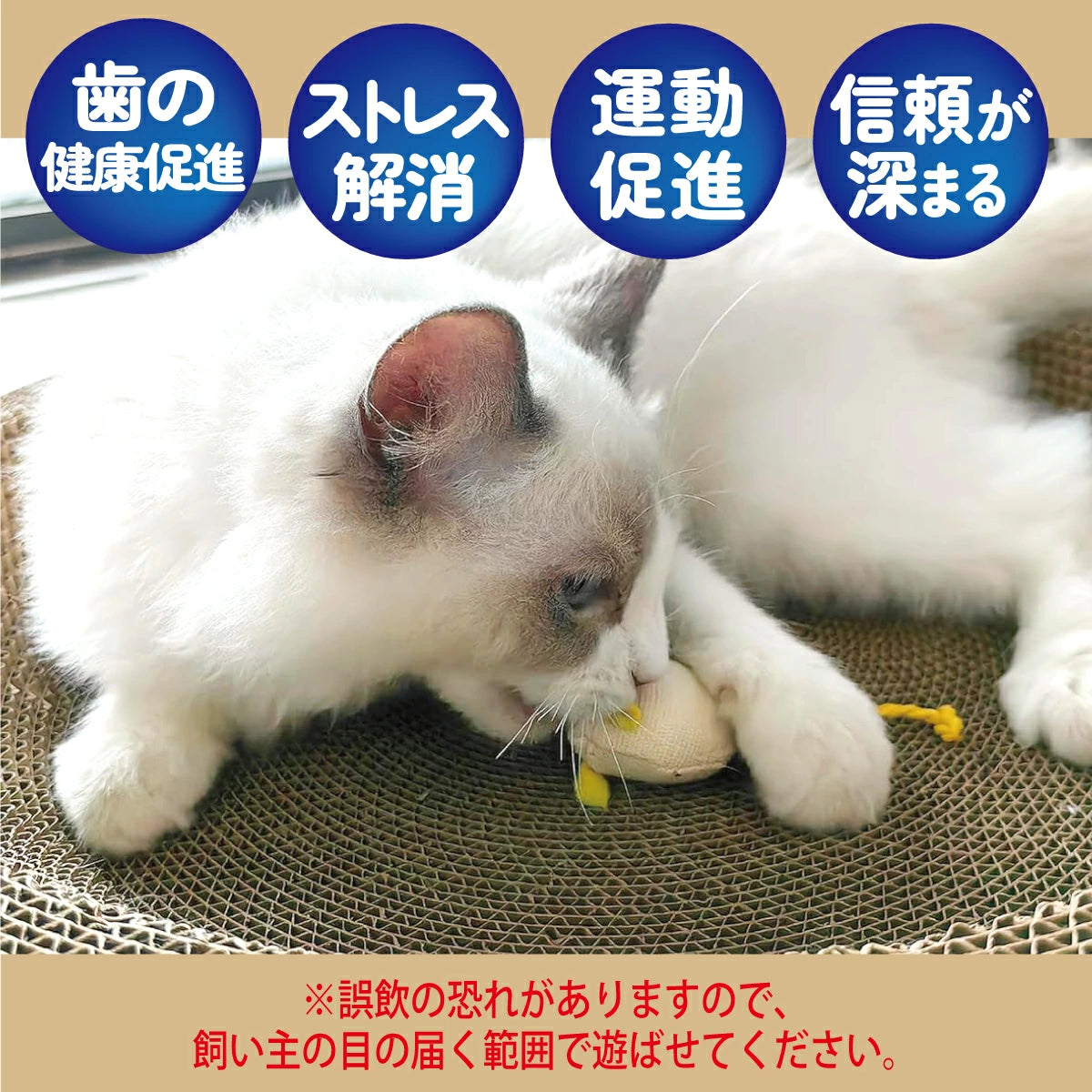 🐭🎀 鼠鼠絨毛貓玩具10件裝 🐱🎁