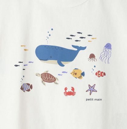 【petit main】男童短袖T恤 👦👕