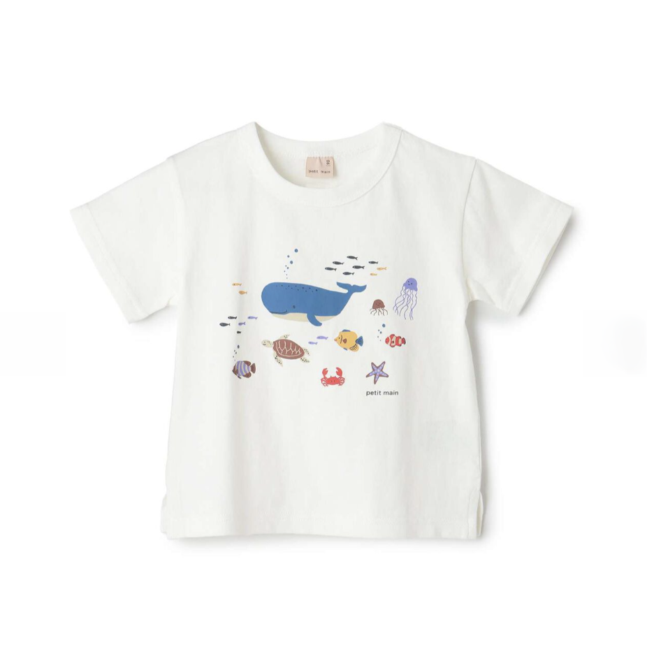 【petit main】男童短袖T恤 👦👕