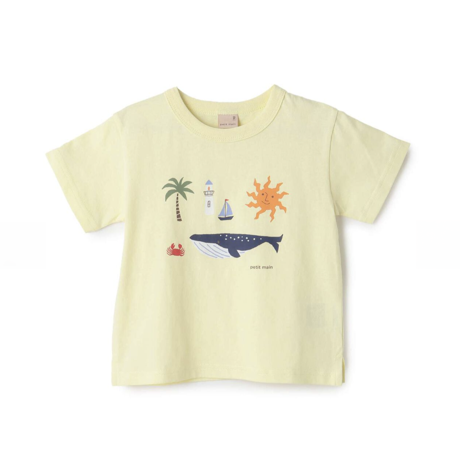【petit main】男童短袖T恤 👦👕