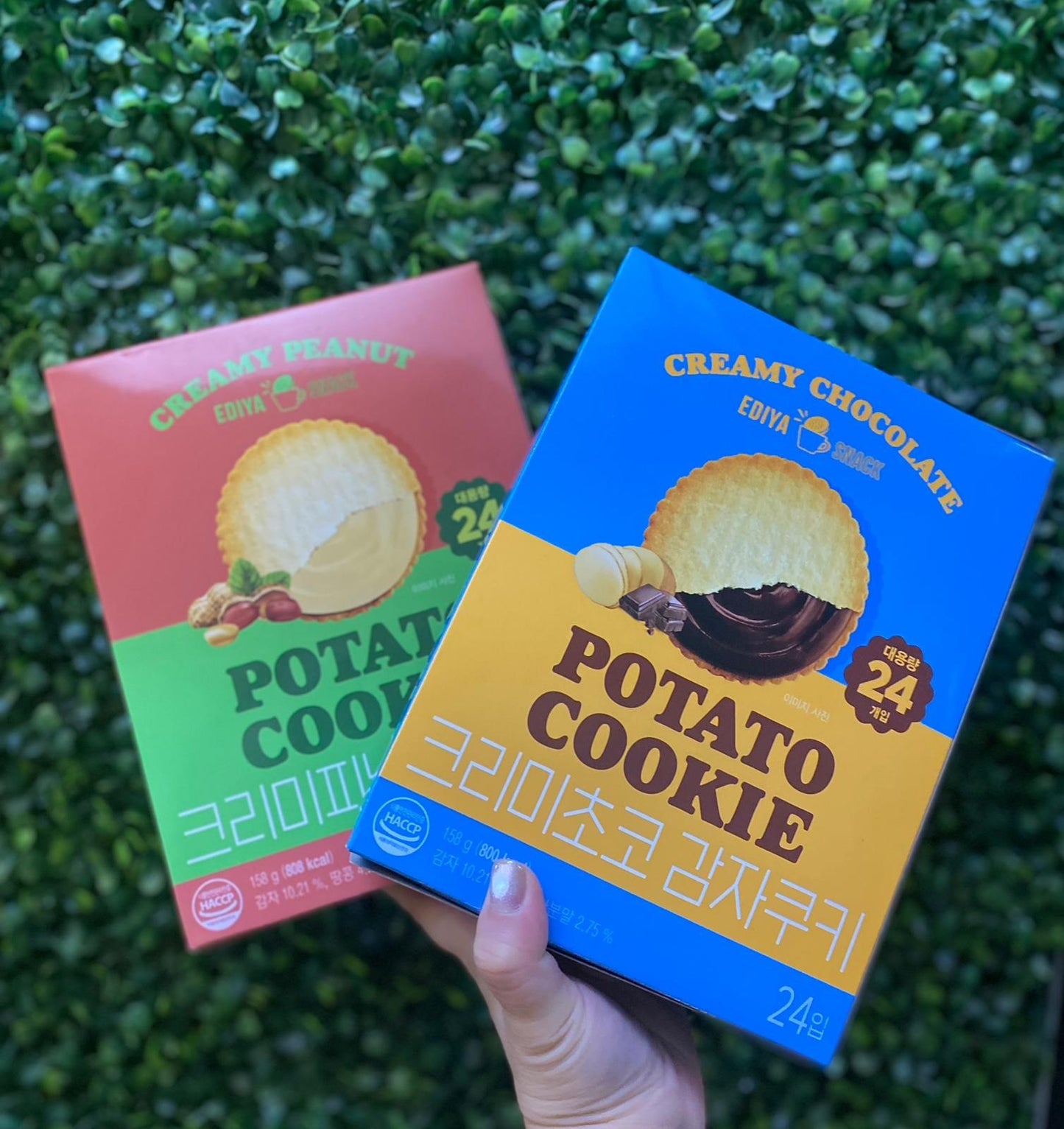 韓國🇰🇷❣️EDIYA COFFEE 馬鈴薯夾心薄餅