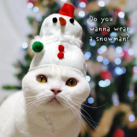 🎄⛄ 聖誕雪人頭飾 🐱🐾