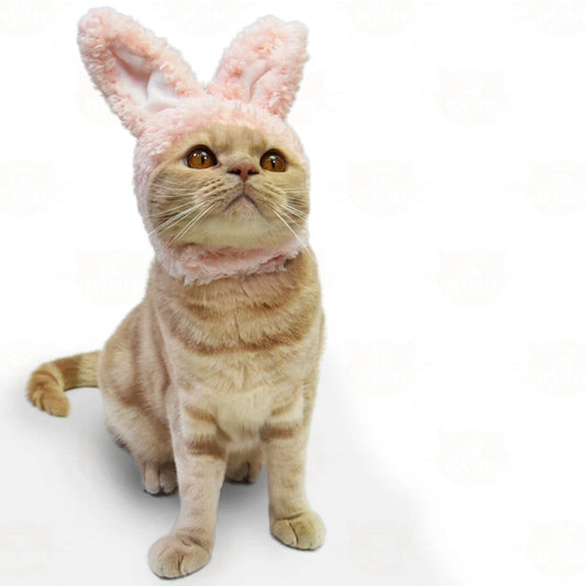 🐰🎀 兔子造型貓頭飾 🐱💕