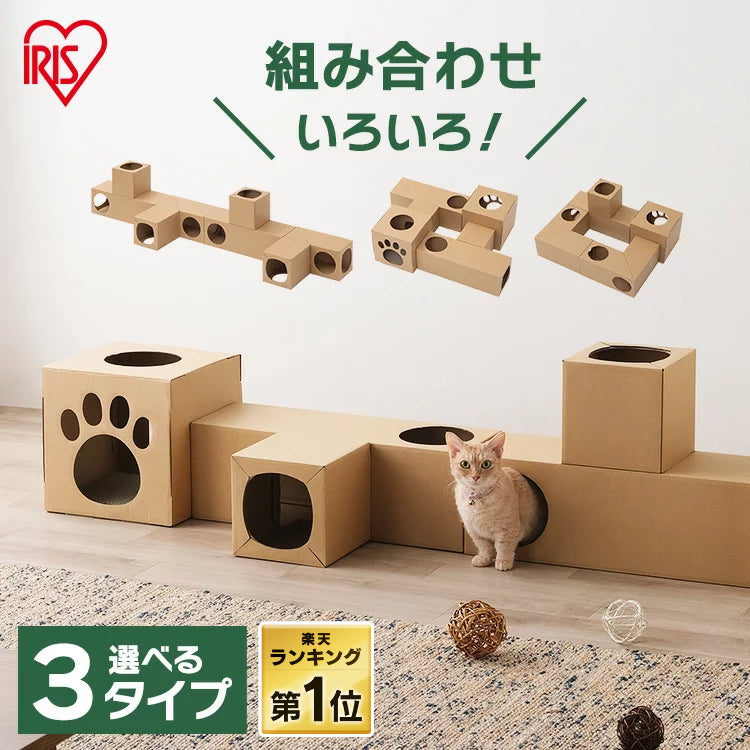 🐱 多功能貓隧道 📦