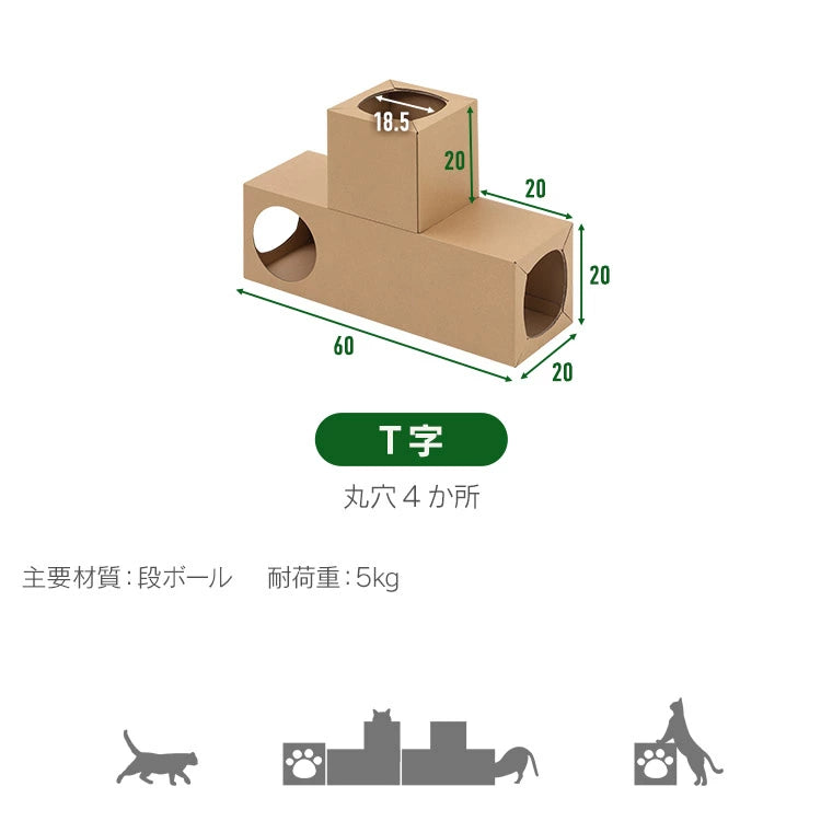 🐱 多功能貓隧道 📦