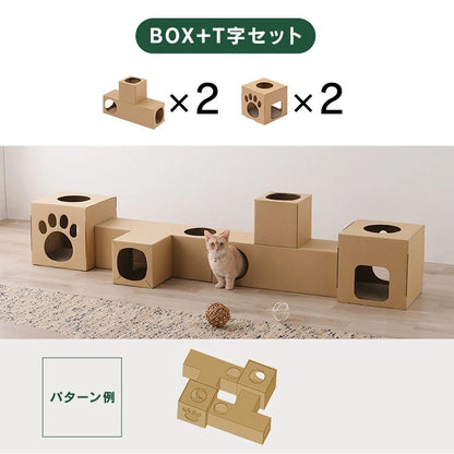 🐱 多功能貓隧道 📦