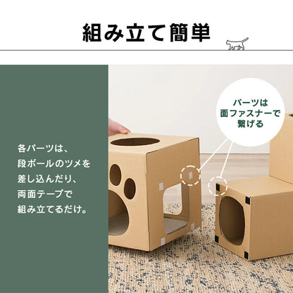 🐱 多功能貓隧道 📦