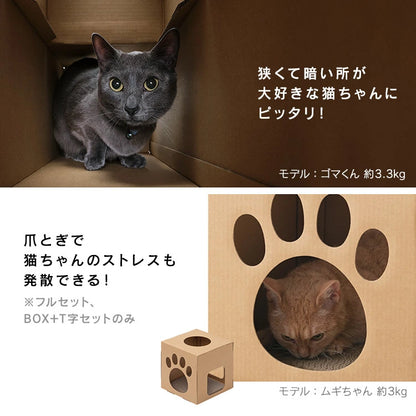 🐱 多功能貓隧道 📦