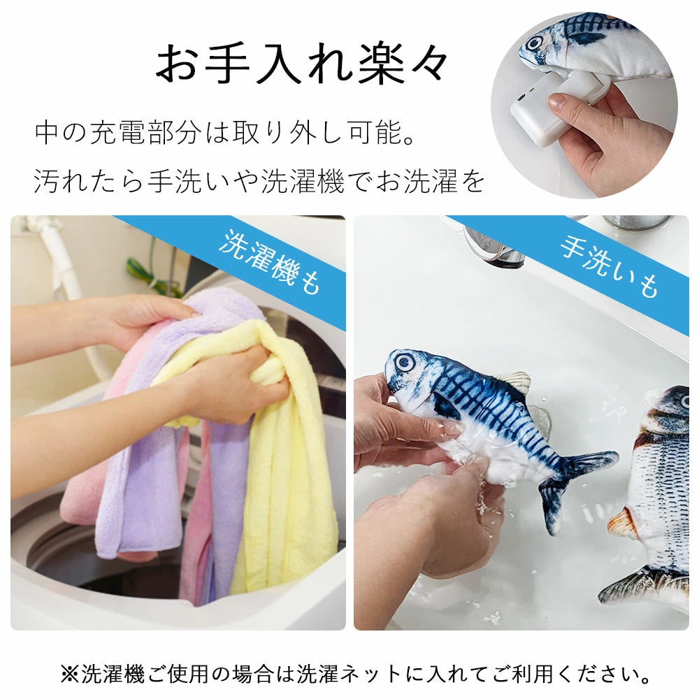 🐱 貓咪魚玩具🐟