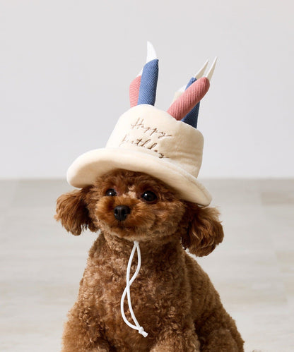 🐾 生日帽（最後清貨）