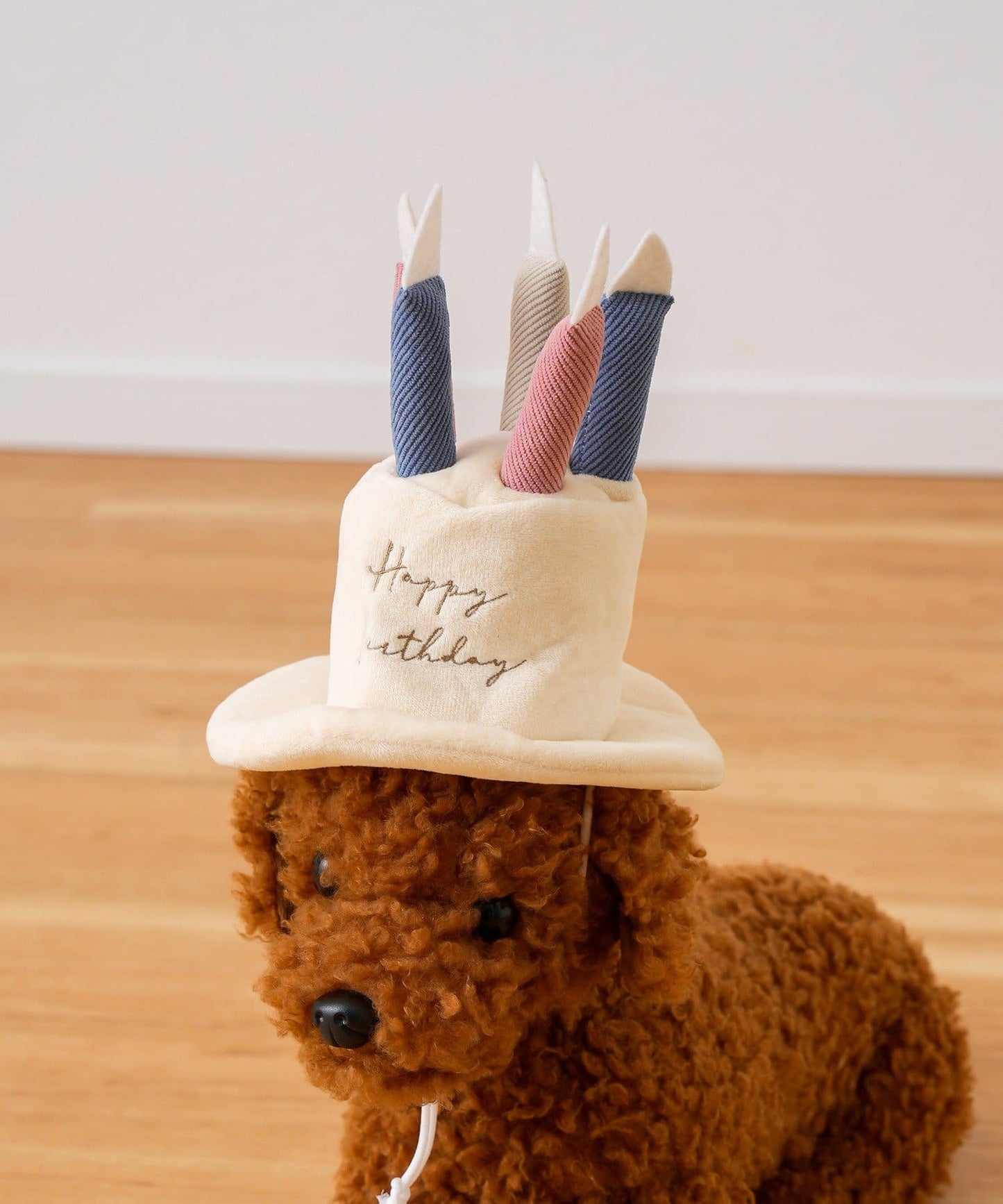 🐾 生日帽（最後清貨）